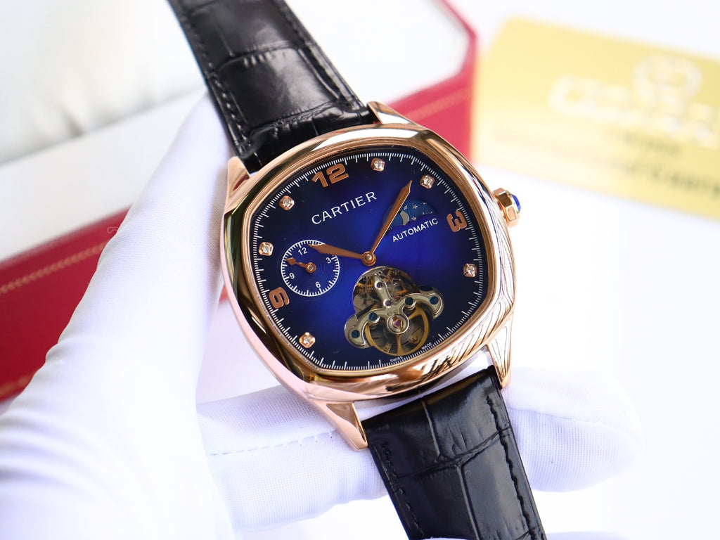 Premium Stainless Steel Mechanical Watch 7 Style Options Moon Phase Skeleton Design Luxury Look